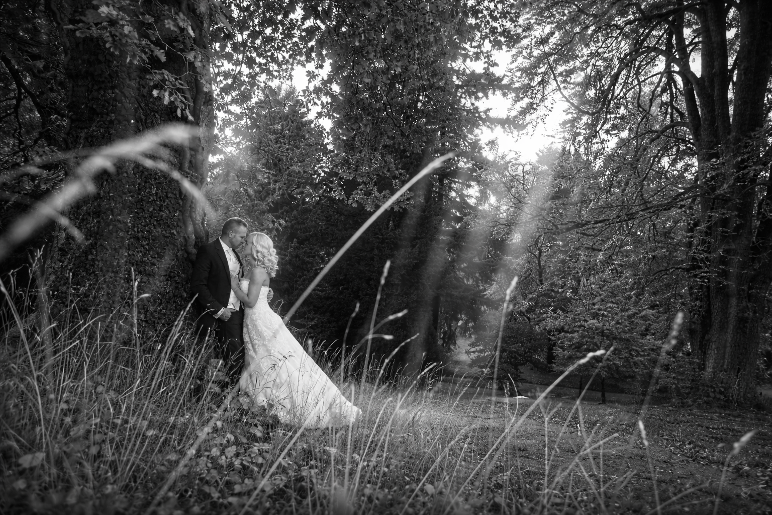 Hochzeitsplanung in Hessen